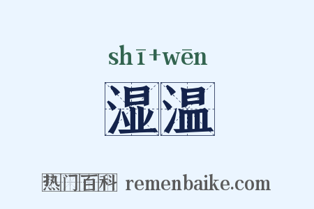 湿温是什么意思的图片